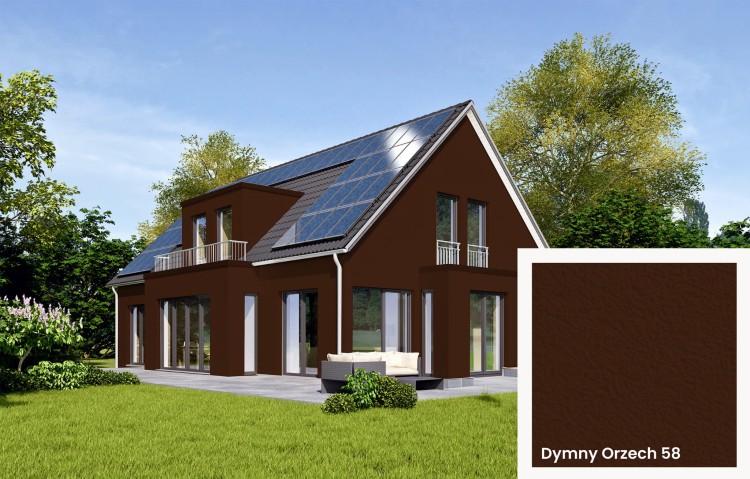 Dymny Orzech 58_S 8010-Y70R.jpg